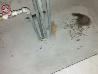 桂林卫生间测漏水价格明细